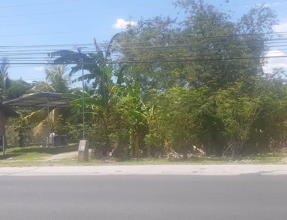 Commercial lot For Sale in Urdaneta Pangasinan