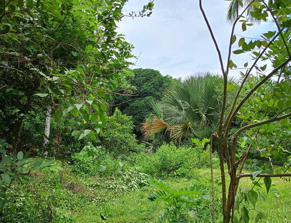 100 sqm Raw Land For Sale in Norzagaray Bulacan