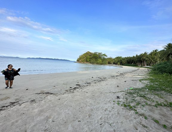 5,742 sqm Beach Property For Sale in El Nido (Bacuit) Palawan