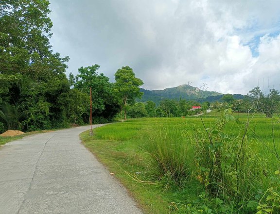 1000sqm Residential land for sale in Iloilo