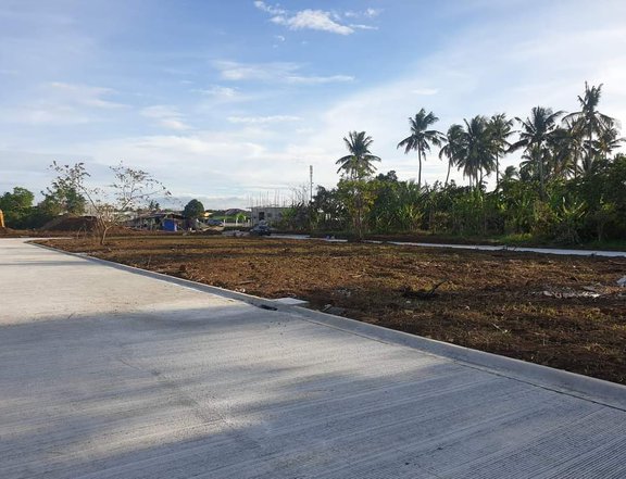 Installment Residential Lot in Silang Cavite