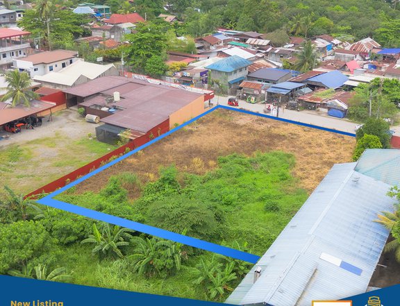 1,751 sqm Commercial Lot For Sale in Tagum Davao Del Norte