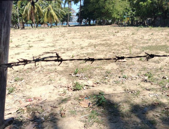 1.5 hectares Beach Property For Sale in Sual Pangasinan