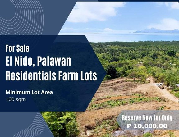 100 sqm lot Residential.Farm Lot ar Silbratan El Nido Palawan
