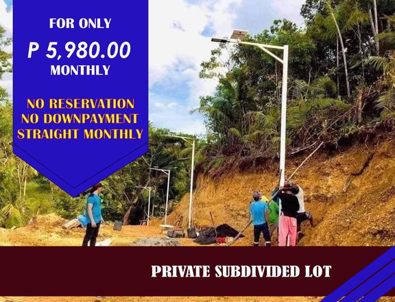 80 sqm Raw Land For Sale in Maribojoc Bohol