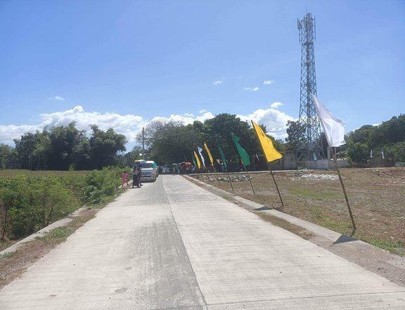 TITLED RESIDENTIAL LOT IN MAPANDAN PANGASINAN, FREE TRANSFER OF TITLE