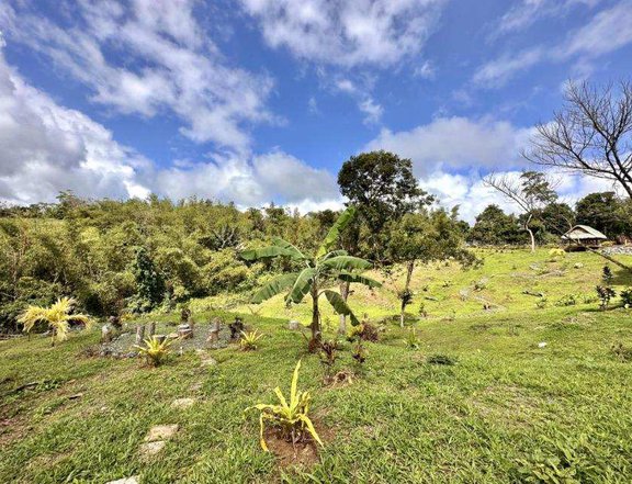 8,394 sqm Agricultural ( COCAL ) w/ diff. ornamental plant for sale