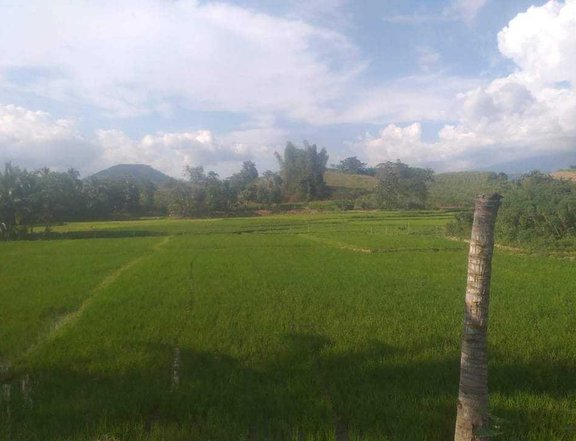 IRRIGATED FARM LOT FOR SALE (TITLED)