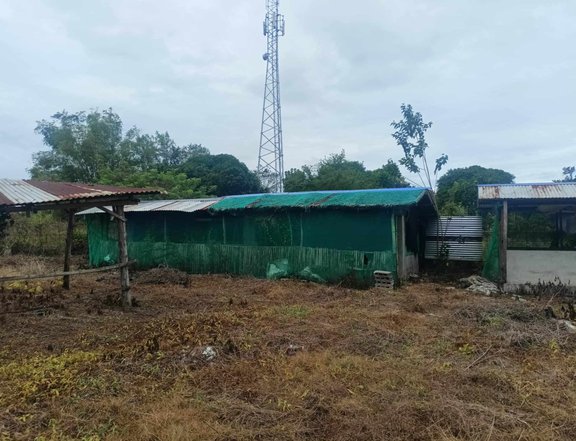 House with lot farm water and electricity
