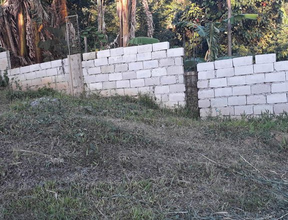 970 sqm land for sale/rent in Rodriguez Rizal