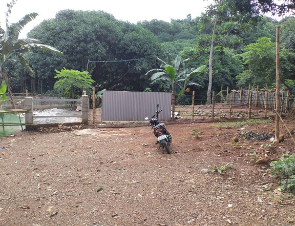 300sqm Residential Farm For Sale in Antipolo City