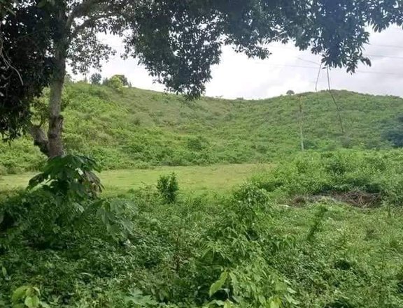 50 sqm Residential Lot For Sale in Compostela Cebu