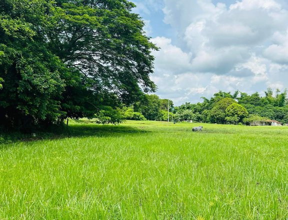 1,000 sqm Residential Farm For Sale in San Juan Batangas