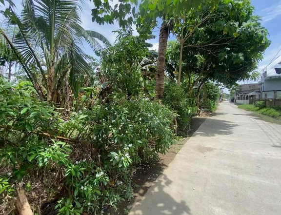 823 sqm Residential Lot For Sale in Rosales Pangasinan