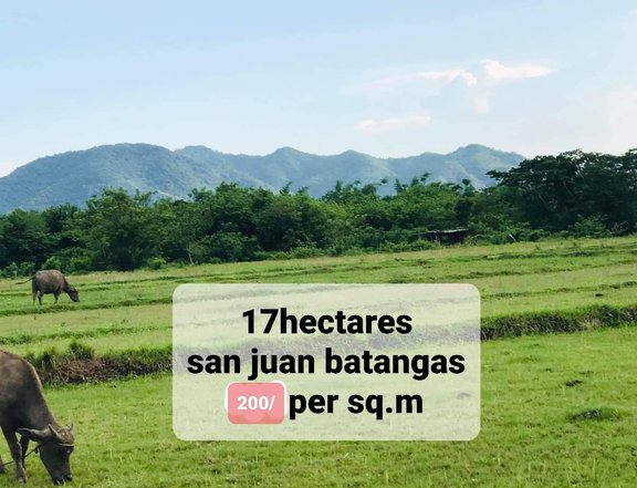 17hectares farm lot at san juan batangas 200per sqm