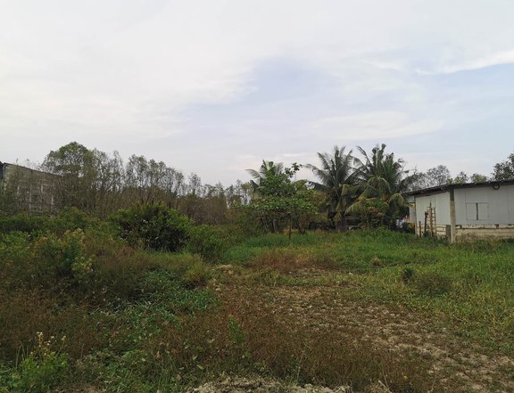 350 sqm residential Lot For Sale in Consolacion Cebu