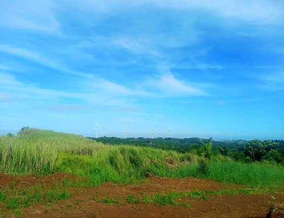 Residential farm lot with majestic view of windmill and laguna de bay