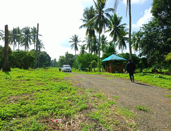 100sqm Raw Land to be develop in Lipa Batangas