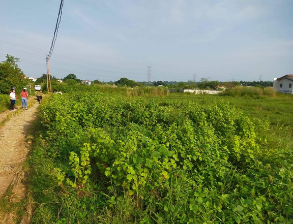 Residential lot near establishment.