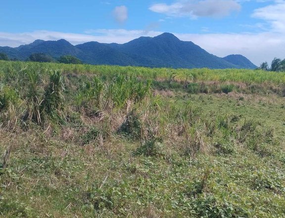 500 sqm Residential Farm For Sale in Nasugbu Batangas