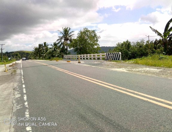 3.2 hectares  Residential Farm for Sale in Gandara, Samar ,9667993885
