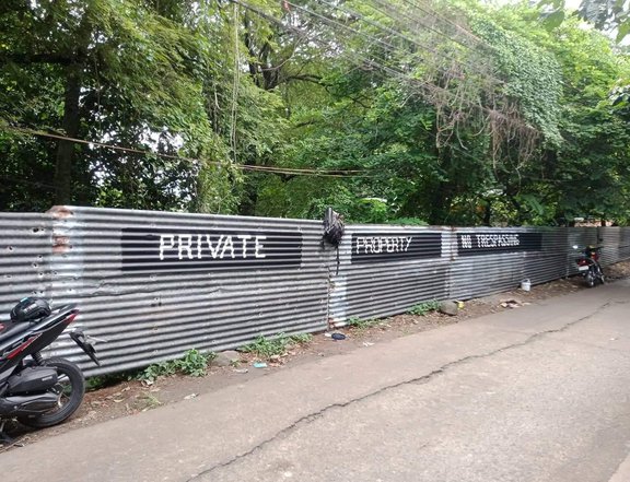 1.2 hectares Residential Farm For Sale in Antipolo Rizal