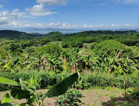 100 sqm Residential Farm For Sale in Tanay Rizal