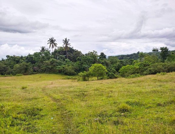 Nearby to the famous chocolate Hills in Bohol for only 180k for 120sqm