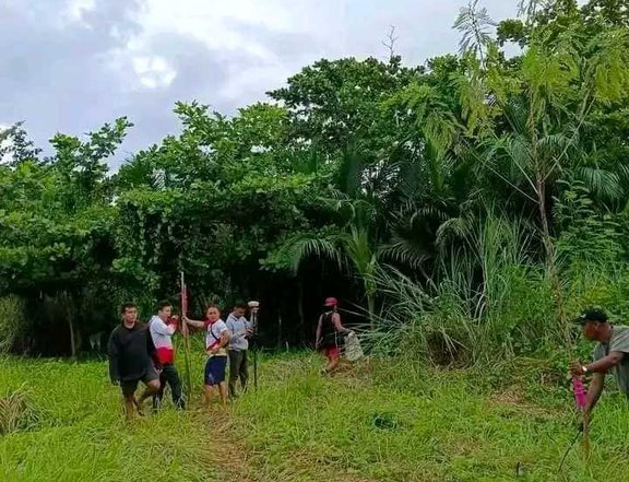 50 sqm Residential Farm For Sale in Liloan Cebu