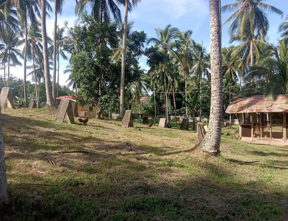 Farm House in Cuenca Batangas