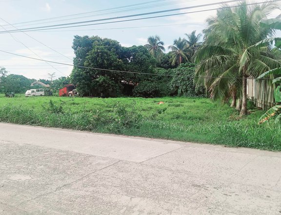 1.48 hectares Farm Lot For Sale in Milaor Camarines Sur