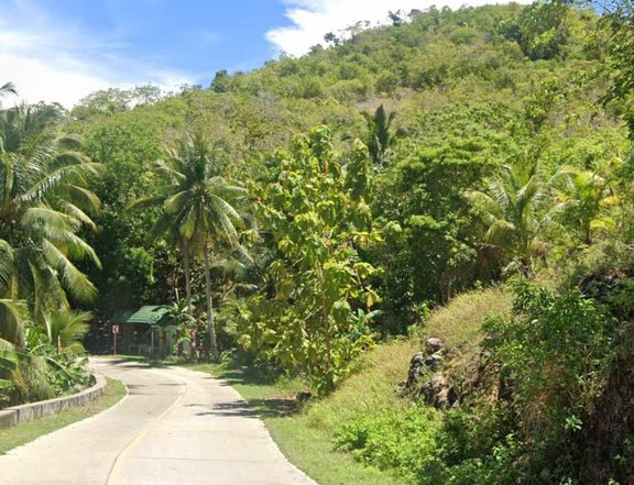 Overlooking Seaview Lot, White Sand Beaches Located in Anda Bohol