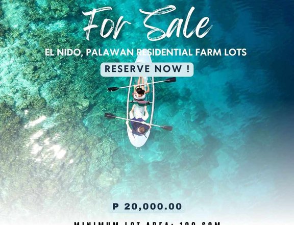 Affordable Resdiential Lots for Sale in El Nido Villas Brgy Sibaltan