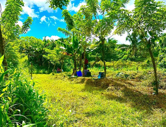 300 sqm Residential Farm For Sale in Alfonso Cavite