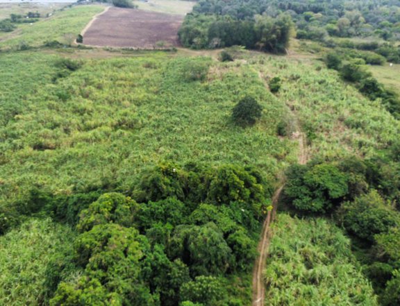53 hectares Agricultural Farm for Sale in Rosario Batangas