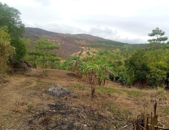 50000 sqm Agricultural Farm For Sale in Aguilar Pangasinan