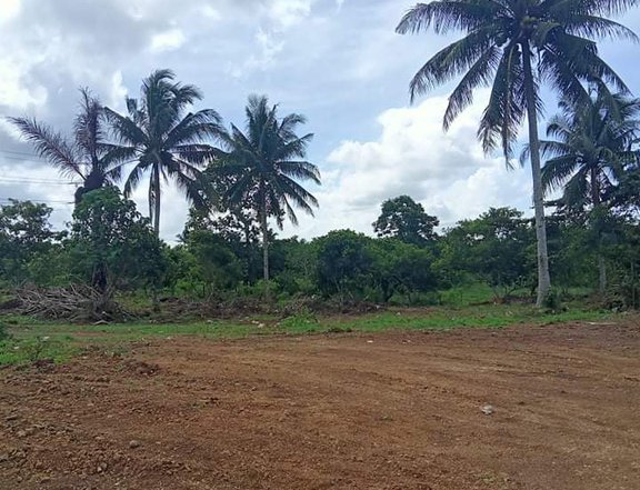 Commercial lot for Sale at Amadeo Cavite