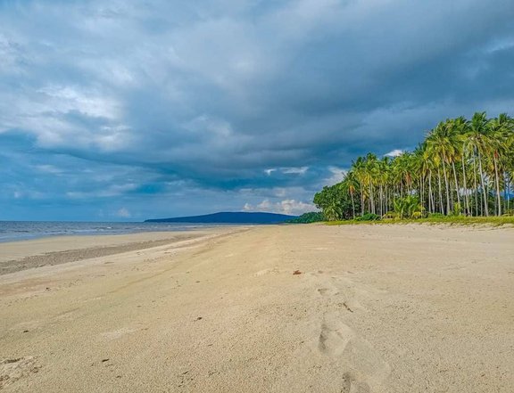 760000 sqm Beach Property rice farm & etc. For Sale in Aborlan Palawan