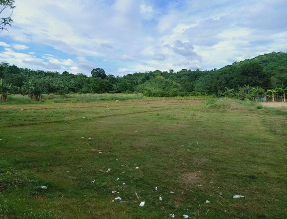 300 sqm Agricultural Farm For Sale in Subic Zambales