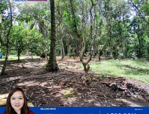 4705 sqm FarmLot Indang Cavite