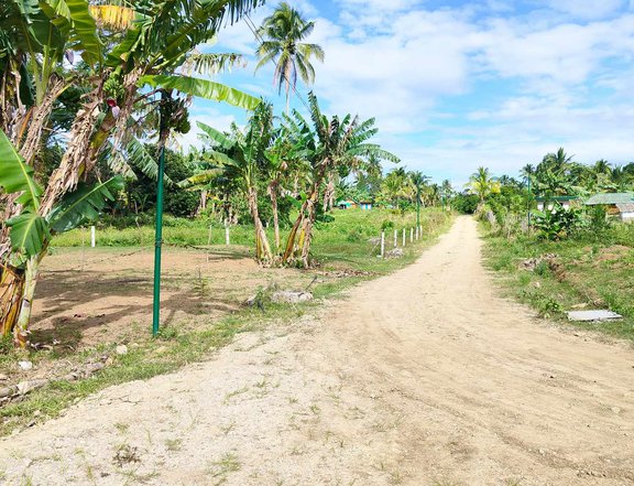 Residential Farm for Sale near Tagaytay