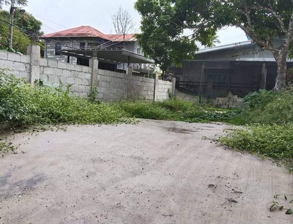 249sqm. Residential Lot For Sale Indang Cavite