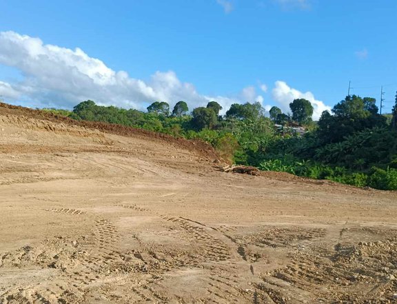 200 sqm Residential Lot For Sale in Pililla Rizal