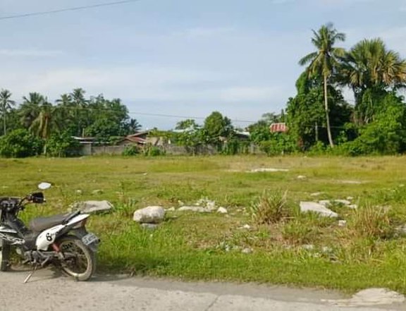 Lot for sale god for commercial near gaisano mall