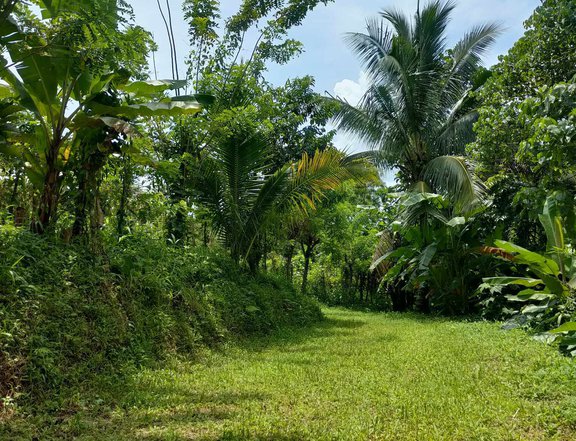 300sqm Residential Farm For Sale in Alfonso Cavite