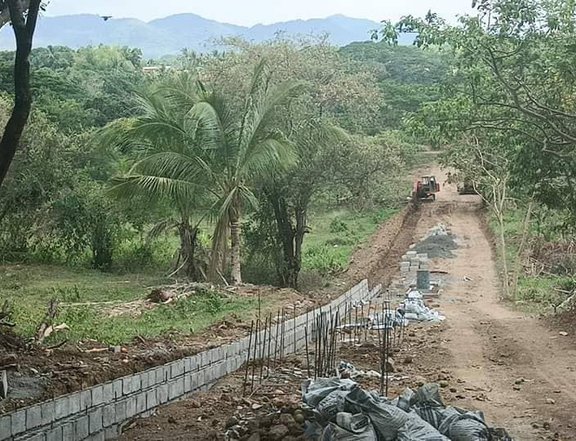 Sabang Tuy Farm Lots