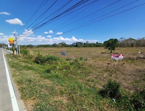 7 has Commercial lot For Sale in San Isidro Isabela