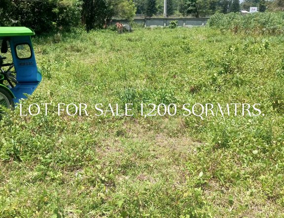 1,200 sqm Industrial Lot for sale, beside DOLE Philippines