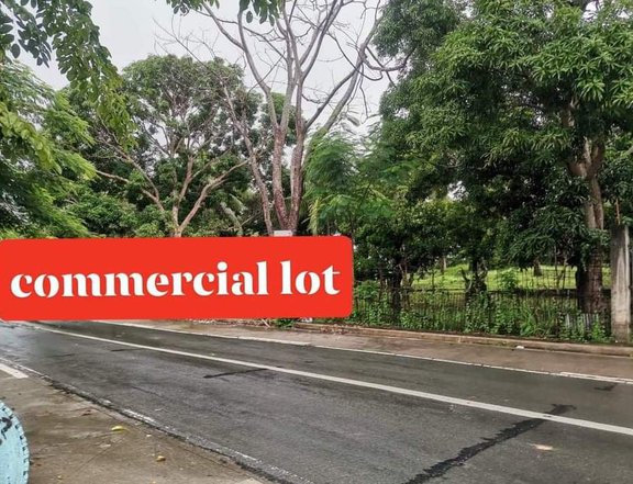 Affordable Commercial lots for sale