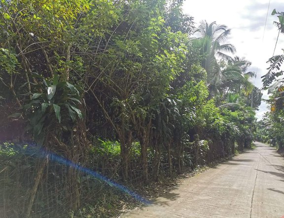 Farm lot with fruit bearing trees.